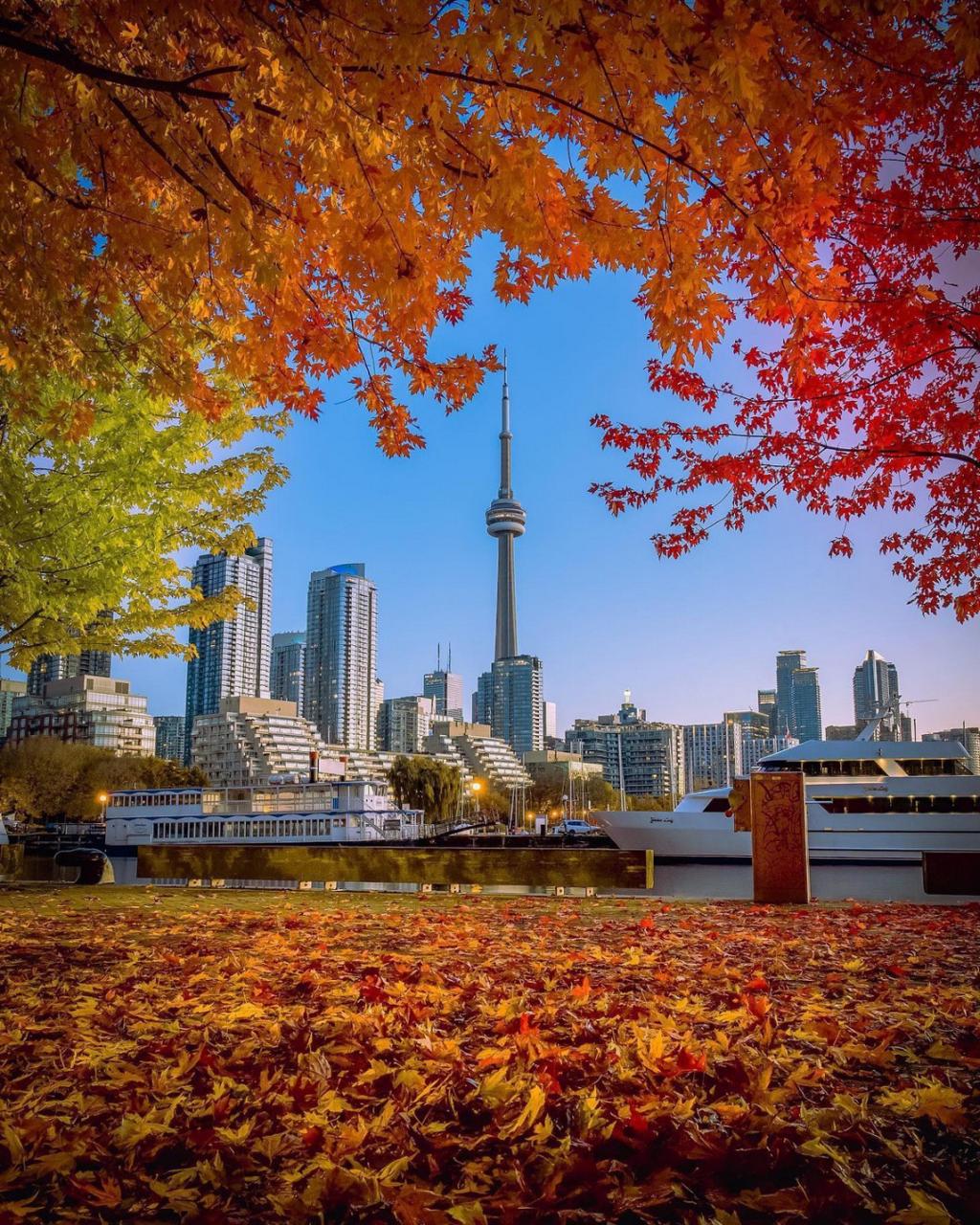 Borrow Smart, Live Better: A Practical Guide to Responsible Borrowing in Canada